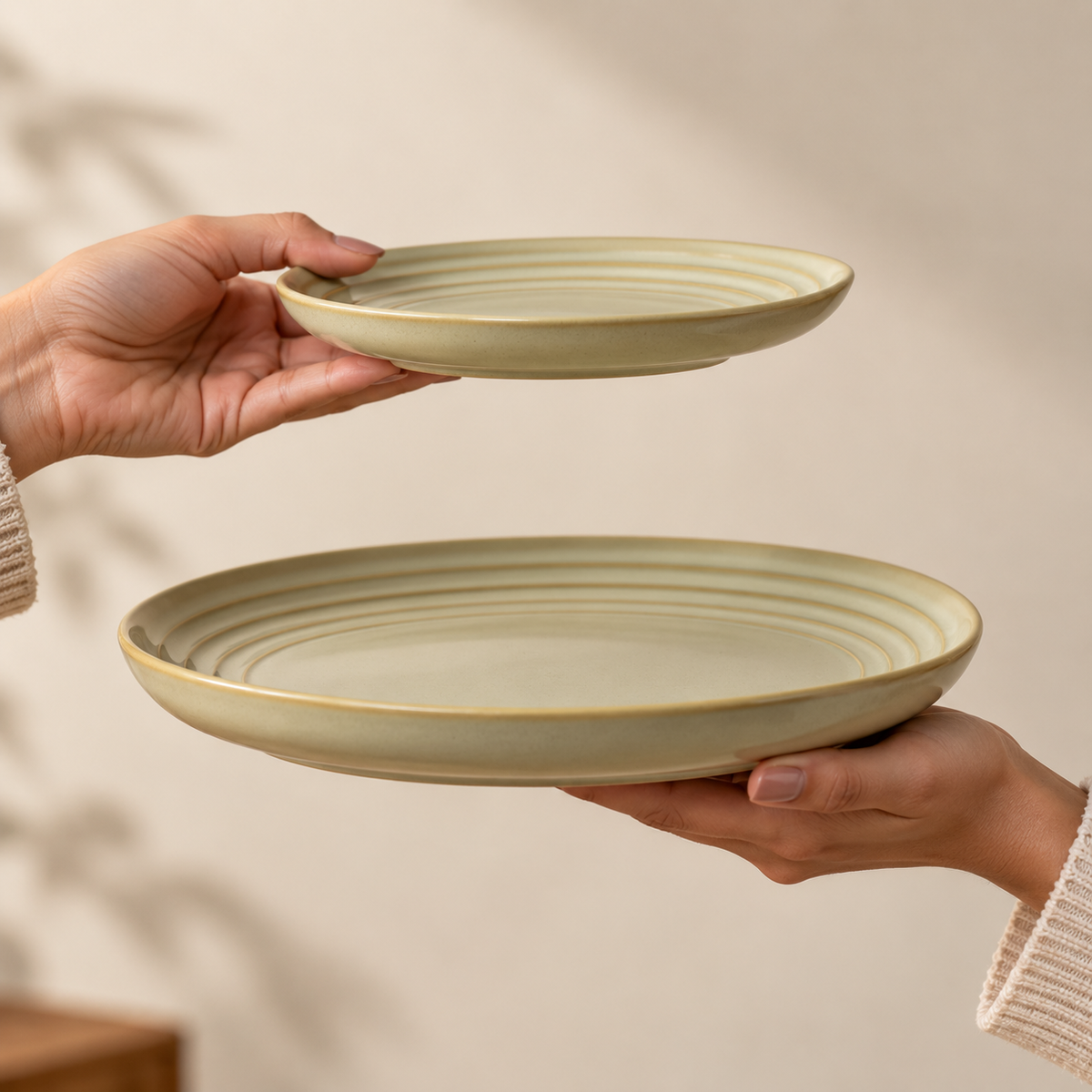 Porcelain Echo Dinner Plates by Ozay Living with minimalist concentric ring design for snacks, desserts and everyday dining.